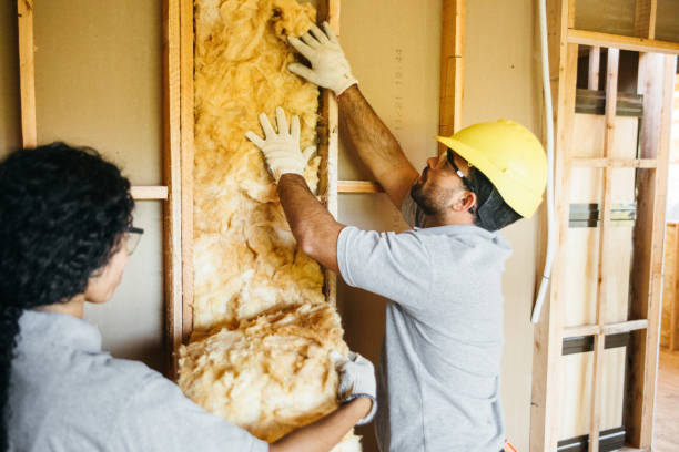 Types of Insulation We Offer in Diamond, IL